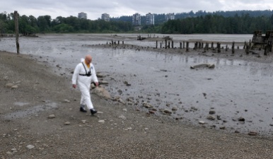 MARIO BARTEL/THE TRI-CITY NEWS The designated "victim" for the exercise, Port Moody fire captain Ron Suzukovich, walks toward his doom in the mudflats off the Old Mill site on the north shore of Port Moody Inlet. Fire chief Ron Coulson says the easy access to the flats from shoreline trails and the proximity of many residents means his crews usually get called out twice a year to pluck people from the heavy muck.