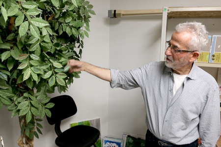 MARIO BARTEL/THE TRI-CITY NEWS Cosimo Geracitano paints the name of each master painter he's recreated on the leaves of an artificial tree in the basement of his Coquitlam home.